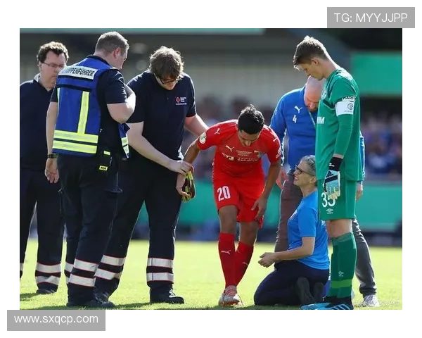 克雷莫纳遭重创 萨纳布里亚国家队受伤